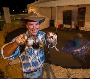 Cane Toad Show